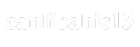 Logo canlibahis13